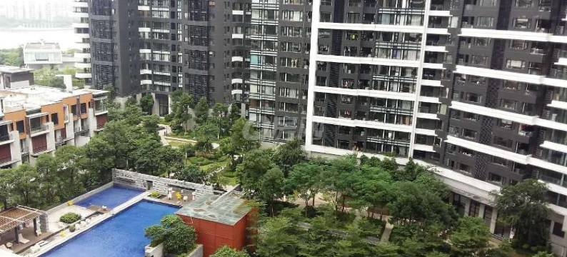 唯家中信红树湾民宿(茂丰路2号分店)图片