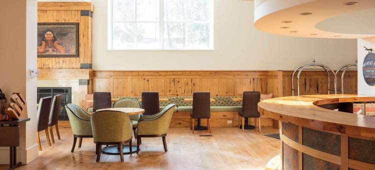 叙拉古斯凯勒酒店，希尔顿启缤精选(Hotel Skyler Syracuse, Tapestry Collection by Hilton)图片