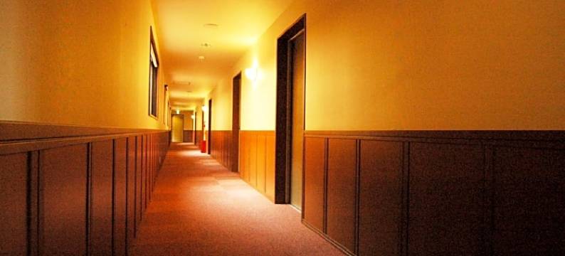 屋久岛绿色酒店(Yakushima Green Hotel)图片