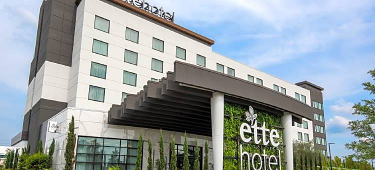 埃特酒店(Ette Hotel - Orlando)图片