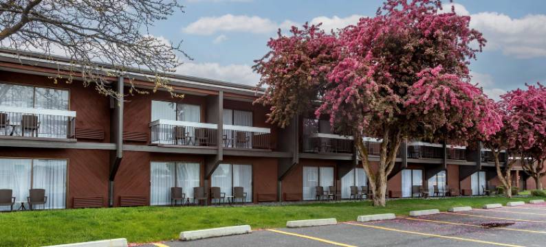 贝斯特韦斯特阳光岭酒店及会议中心(Best Western Sunridge Inn  Conference Center)图片