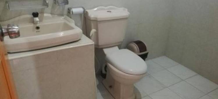 Friends Paradise图片