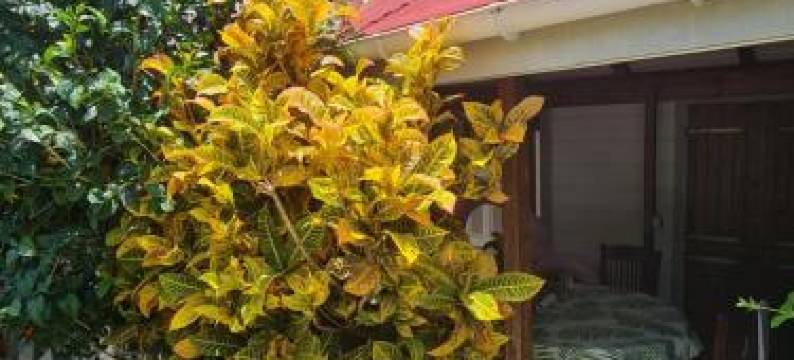 Chez Gisèle et Philippe图片