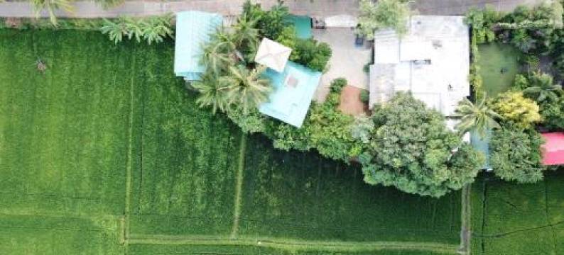 V Cabanas & Yala Safari Place图片