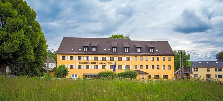弗列柏格霍赫恩泽格比格斯酒店(Erzgebirgshotel Freiberger Höhe)图片