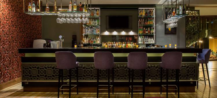 伊斯坦布尔金色号角花园旅馆(Dosso Dossi Hotels & SPA Golden Horn)图片