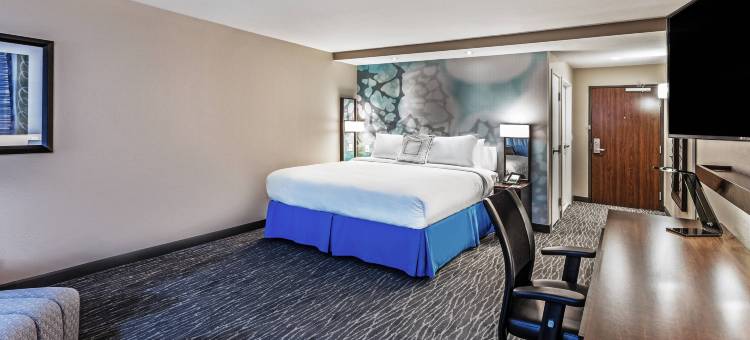 休斯顿I-10西/公园列万怡酒店(Courtyard Houston I-10 West/Park Row)图片