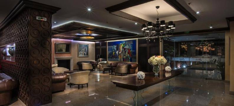 萨尼酒店(Hotel Sani)图片