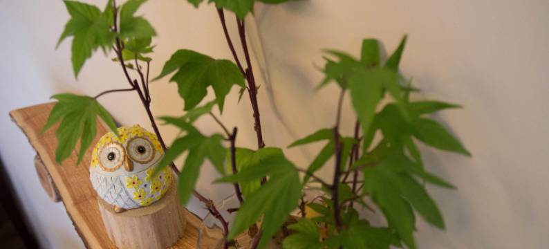 台东布客森林民宿图片