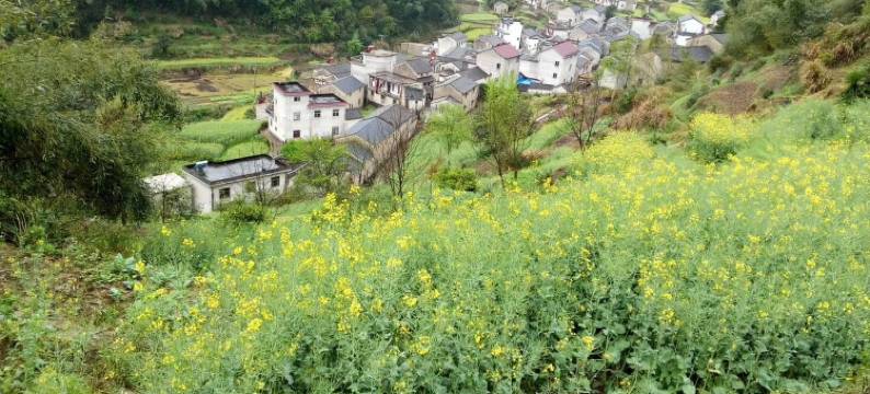 绩溪度假木屋特色民宿图片