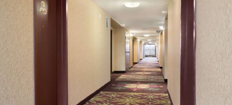 兰利戴斯套房酒店(Days Inn & Suites by Wyndham Langley)图片