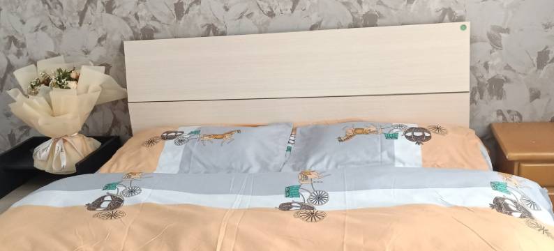 宣化胜家家庭公寓(宣府大街2号分店)图片