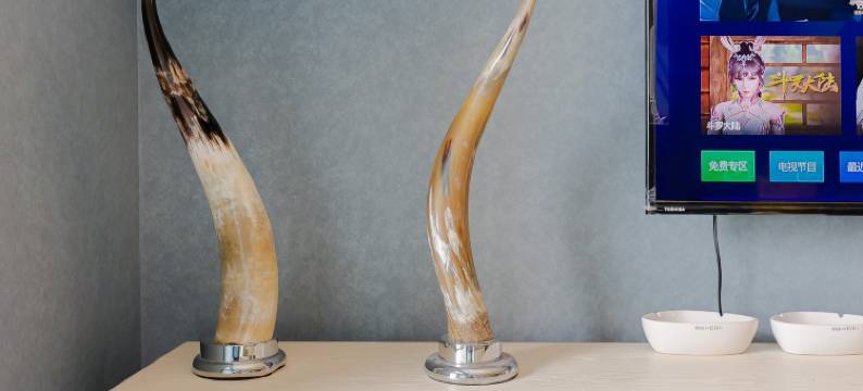 四川眉山1036公寓(岷江大道西段分店)图片