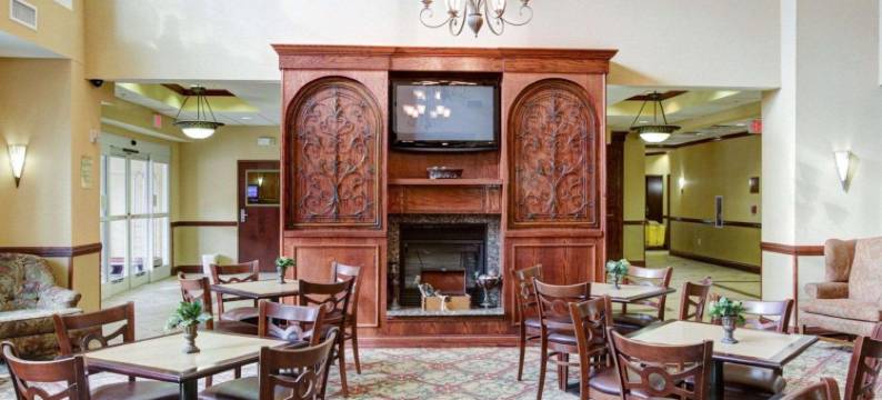 大学路舒适套房酒店(Comfort Suites University Drive)图片