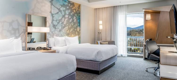 Courtyard Asheville Biltmore Village图片