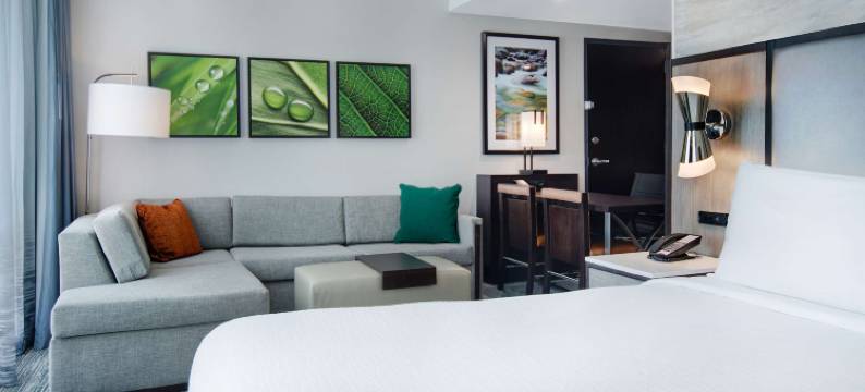 阿尔法利塔翡翠希尔顿安泊酒店(Embassy Suites by Hilton Alpharetta Halcyon)图片