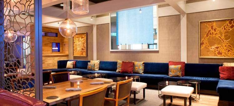 奥黑尔威斯汀酒店(The Westin O'Hare)图片
