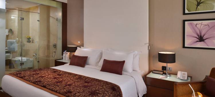 智选假日酒店-昌迪加尔潘奇库拉-洲际酒店集团旗下(Holiday Inn Chandigarh Panchkula, an IHG Hotel)图片