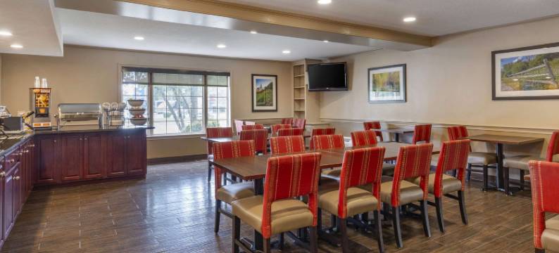 美茵斯坦套房酒店福克斯波罗-曼斯菲尔德(MainStay Suites Foxboro - Mansfield)图片