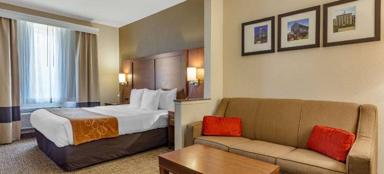 罗利核桃溪舒适套房酒店(Comfort Suites Raleigh Walnut Creek)图片