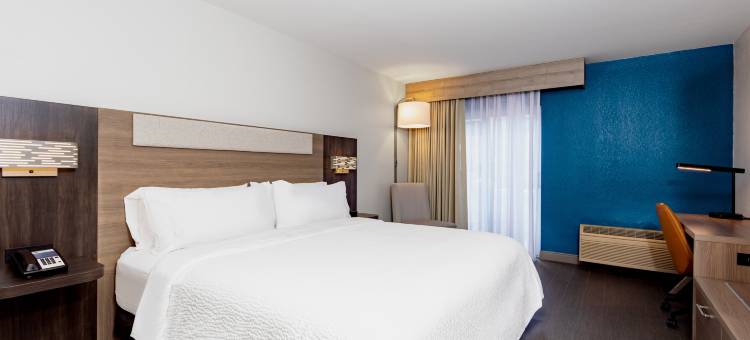 Holiday Inn Express 清水东 - ICOT中心(Holiday Inn Express Clearwater East - Icot Center)图片