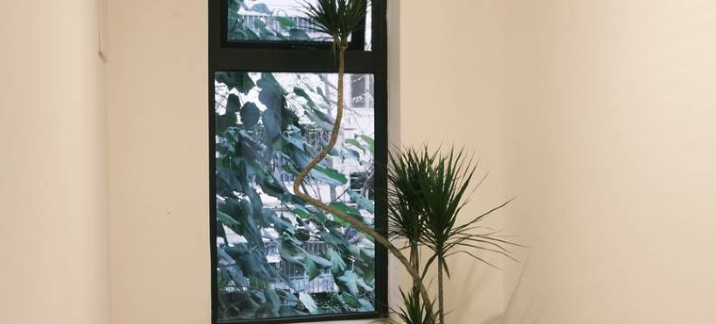 不汲一隅·桐树下民宿(东关南街店)图片