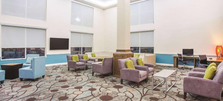 萨拉索塔 I75 舒适套房酒店(Comfort Inn & Suites Sarasota I75)图片