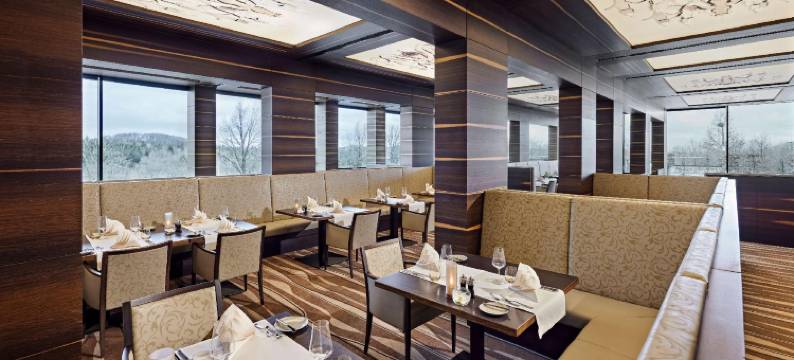 纽博格林国会林德纳酒店(Nuerburgring Congress Hotel)图片