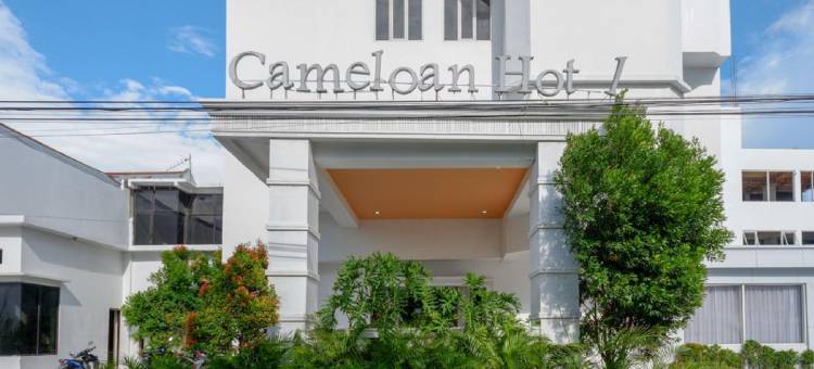红多兹Plus酒店@帕卢喀麦隆酒店(RedDoorz Plus @ Cameloan Hotel Palu)图片