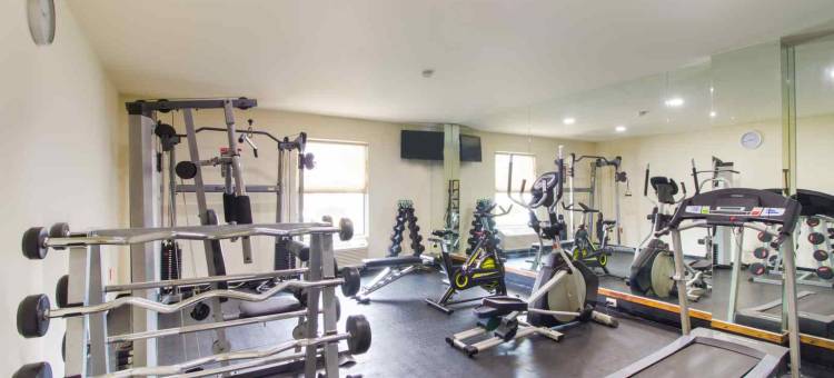 首都O赫雷迪罗酒店(Los Herederos Hotel Piedras Negras)图片