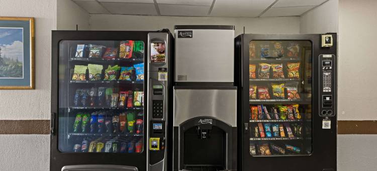 康瑟尔布拉夫斯 - 奥马哈东部品质酒店及套房(Quality Inn & Suites Council Bluffs - Omaha East)图片