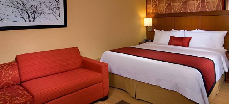 费城斯普林菲尔德庭院(Courtyard Philadelphia Springfield)图片