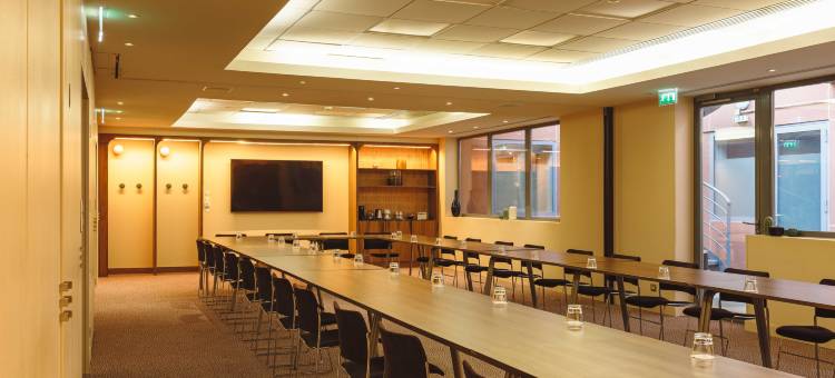 里昂国际城皇冠假日酒店(Crowne Plaza Lyon - Cite Internationale)图片