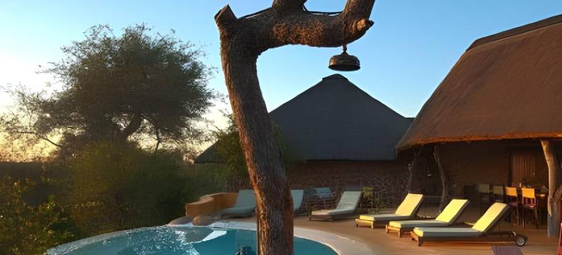 莫茨瓦里私人野生动物保护区度假村-NEWMARK旗下(Motswari Private Game Reserve by Newmark)图片