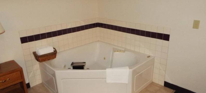 威斯康星州索普菲布丽套房酒店(FairBridge Inn & Suites)图片