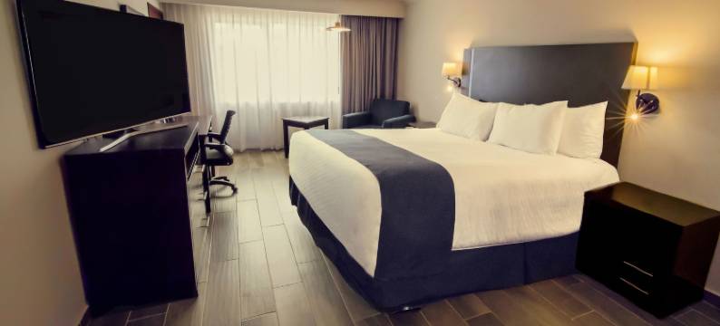 坦皮科迦马酒店(Gamma Tampico)图片