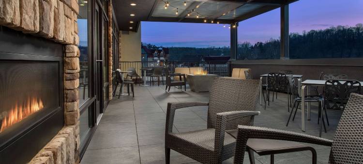 阿什维尔比尔特莫尔村希尔顿惠庭酒店(Home2 Suites by Hilton Asheville Biltmore Village)图片