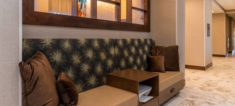 舒格兰欢朋套房酒店(Hampton Inn & Suites Houston/Sugar Land)图片