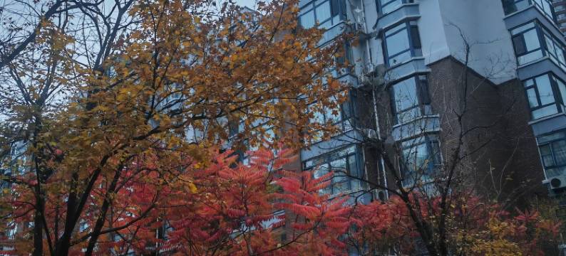 遇尚·SNOW民宿图片