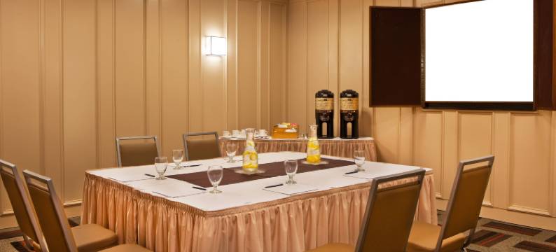 萨吉诺福朋喜来登酒店(Four Points by Sheraton Saginaw)图片