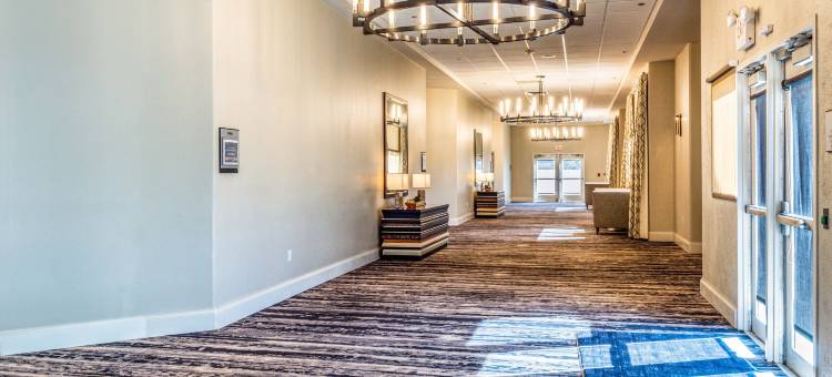 喜来登阿尔伯克基机场酒店(Sheraton Albuquerque Airport Hotel)图片