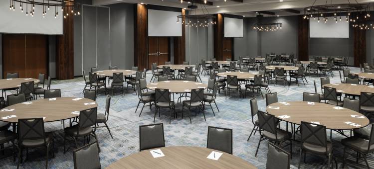 希尔顿保龄球绿色大使套房(Embassy Suites by Hilton Bowling Green)图片