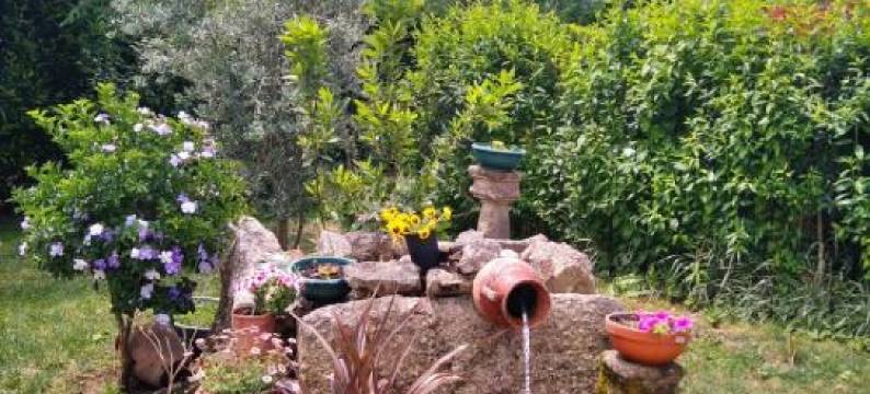 Villa Garden & Pool - Alojamentos图片