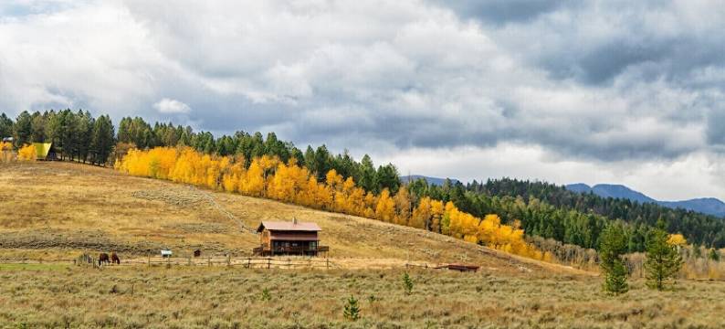 Buffalo Roam Condo * Comforts of Home for 6 * Minutes from Yellowstone图片