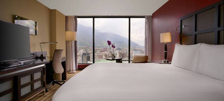 加拉加斯拉卡斯提亚万丽酒店(Renaissance Caracas la Castellana Hotel)图片