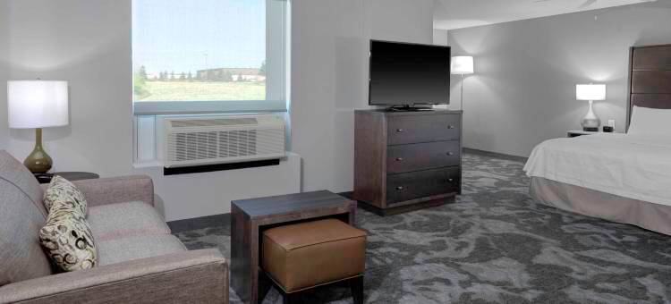 兰辛伊斯特伍德Homewood Suites by Hilton(Homewood Suites by Hilton Lansing Eastwood)图片