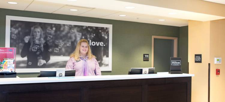 大瀑布城欢朋酒店(Hampton Inn Big Rapids)图片