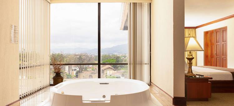 圣何塞海瑞德拉温德姆酒店(Wyndham San Jose Herradura Hotel & Convention Center)图片