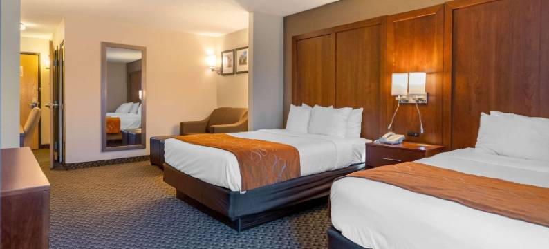 南港舒适套房酒店-I-96附近(Comfort Suites South Haven Near I-96)图片