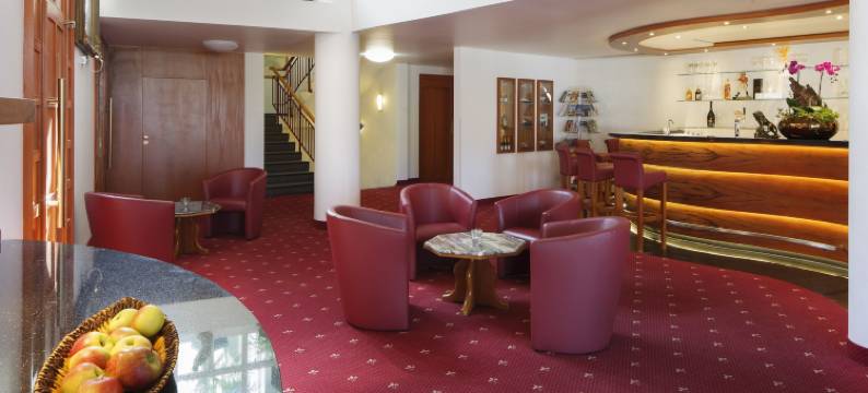 茵维特洛文弗赖堡酒店(Hotel Schwärs Löwen Freiburg)图片